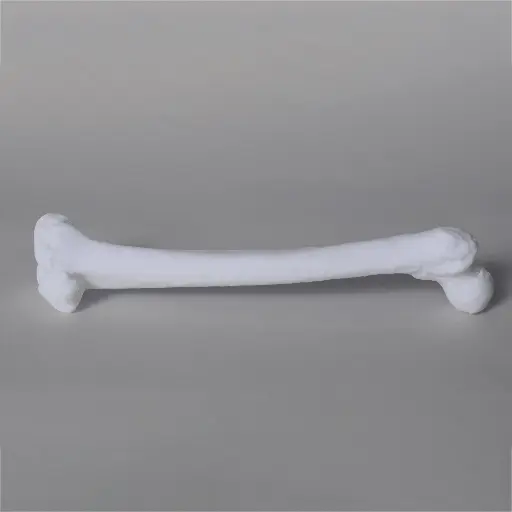 [SKU:MM011] SurgiSIM Femur Right